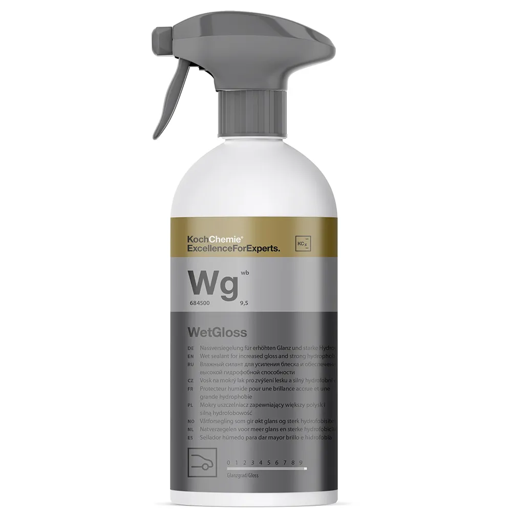 WetGloss - Protection Humide Haute Performance